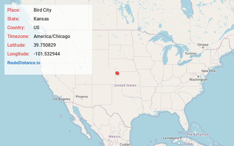 Map of Bird City