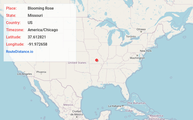 Map of Blooming Rose