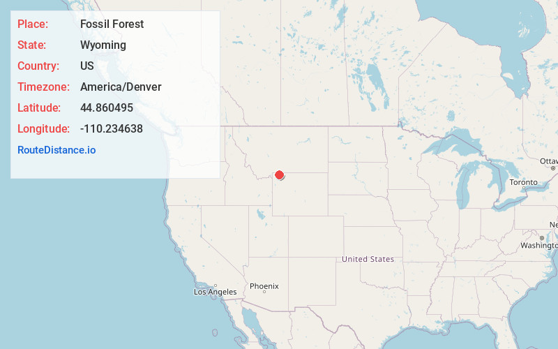 Map of Fossil Forest