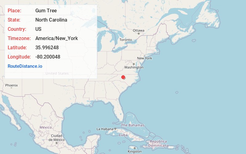 Map of Gum Tree