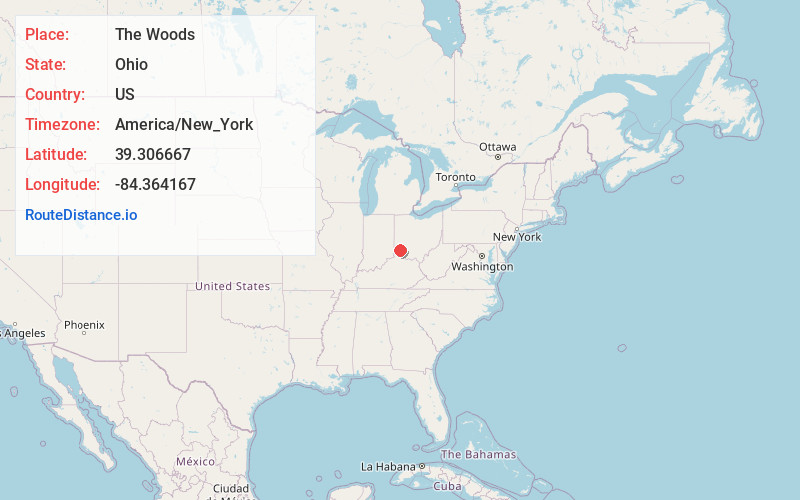 Map of The Woods